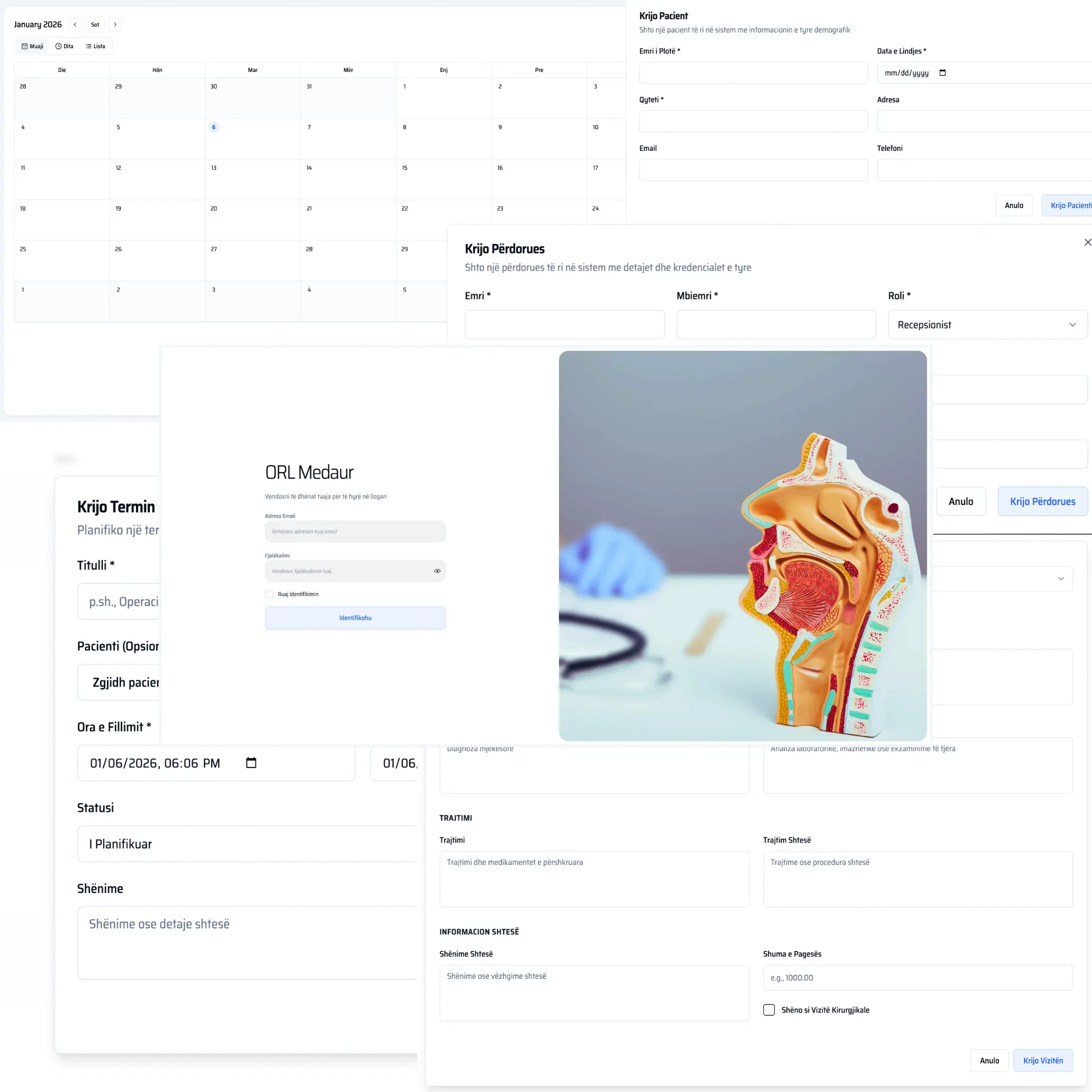 Medaur HIMS interface showing patient records, a profile and an anatomy illustration.